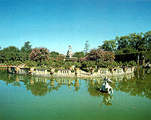 Pond of Isolotto